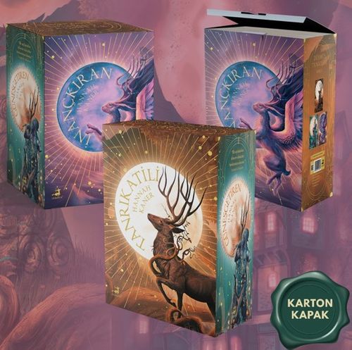 Düşmüş Tanrılar Serisi - 3 Kitaplık Kutulu Set (Karton Kapak)