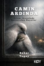 Camın Ardında