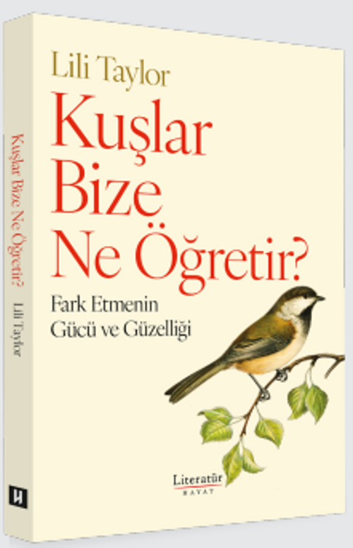 Kuşlar Bize Ne Öğretir?