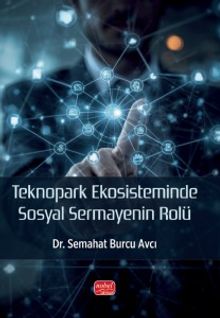 Teknopark Ekosisteminde Sosyal Sermayenin Rolü