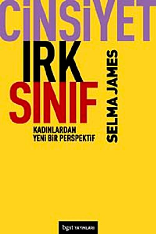 Cinsiyet Irk Sınıf & Kadınlardan Yeni Bir Bakış Açısı