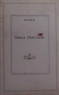Viola Tricolor / 11-Z-260
