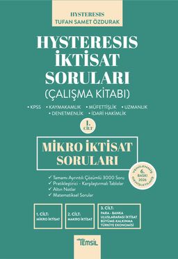 Hysteresis İktisat Soruları Cilt 1 Mikro İktisat