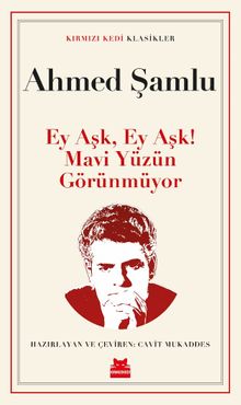 Ey Aşk, Ey Aşk! Mavi Yüzün Görünmüyor