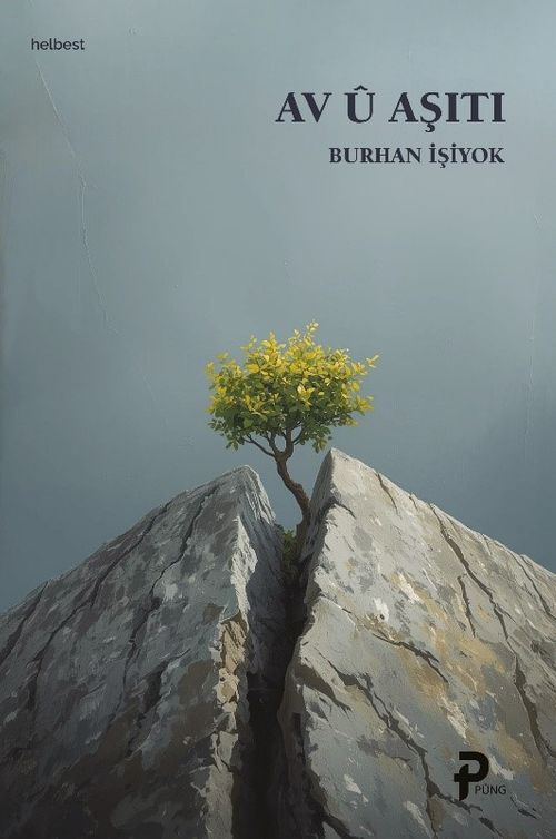 Av Û Aşiti