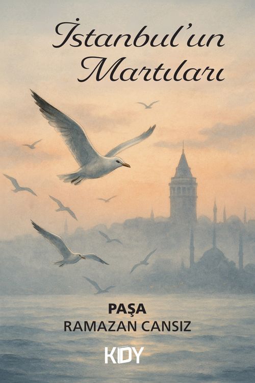 İstanbul'un Martıları