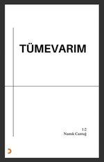 Tümevarım