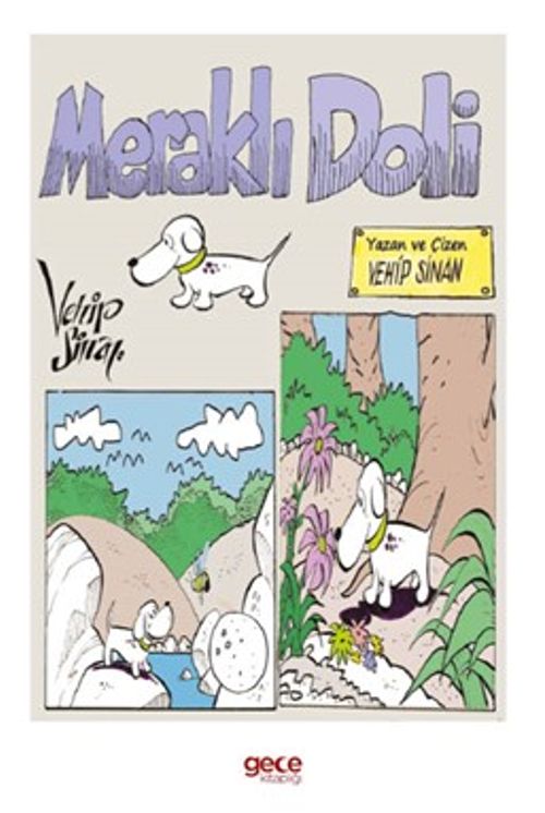 Meraklı Doli
