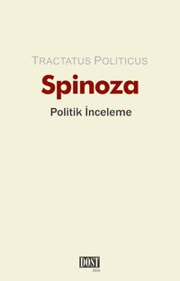 Politik İnceleme