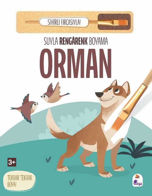 Suyla Rengarenk Boyama / Orman (Sihirli Fırçasıyla)