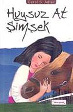 Huysuz At Şimşek