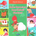 Neden Hayvanlara  Karşı Şefkatli Olmalıyız?