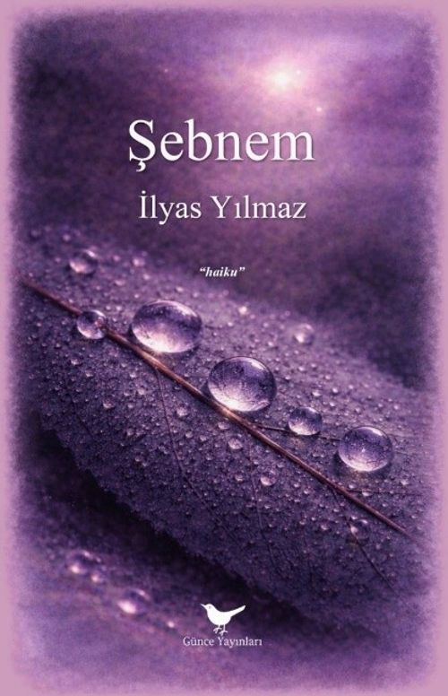 Şebnem