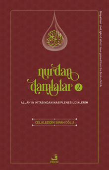 Nurdan Damlalar 2
