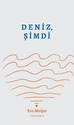 Deniz, Şimdi