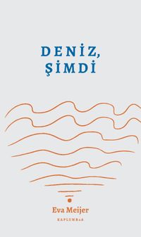 Deniz, Şimdi