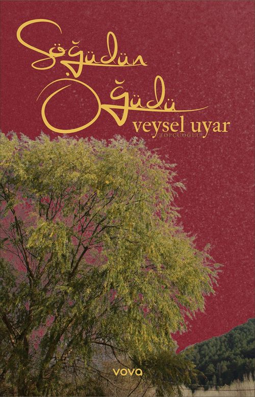 Söğüdün Öğüdü