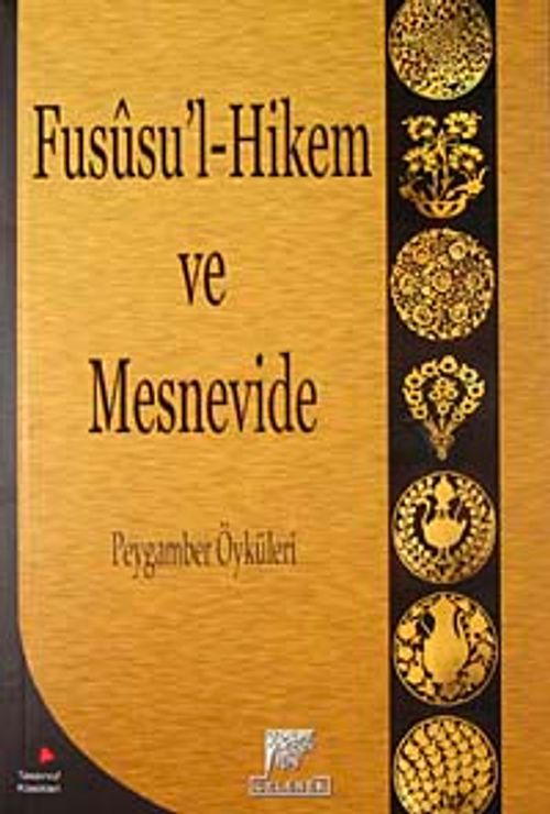 Fususu'l-Hikem ve Mesnevide Peygamber Öyküleri