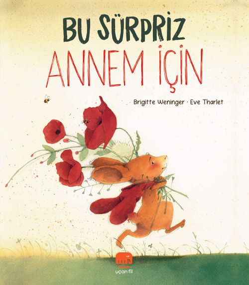 Bu Sürpriz Annem İçin