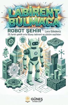 Labirent Bulmaca Robot Sehir