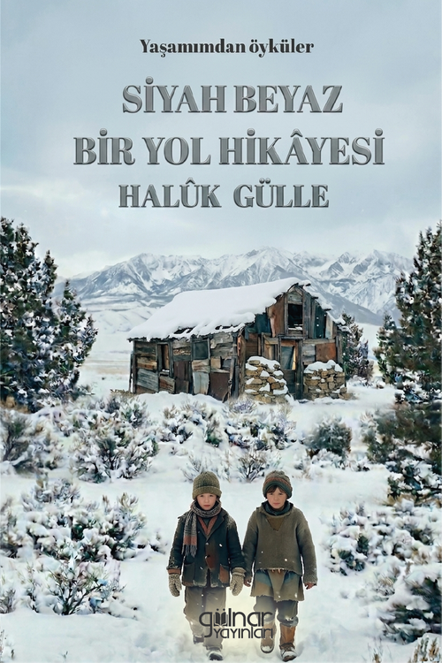 Siyah Beyaz Bir Yol Hikayesi