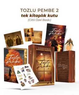 Tozlu Pembe 2 (Ciltli Tek Kitaplık Kutu Yan Boyamalı)