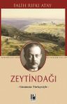 Zeytindağı (Günümüz Türkçesiyle)