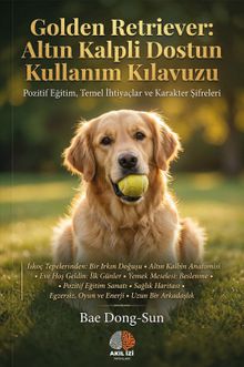 Golden Retriever & Altın Kalpli Dostun Kullanım Kılavuzu