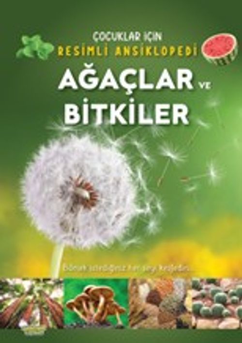 Ağaçlar ve Bitkiler