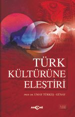 Türk Kültürüne Eleştiri