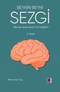 Beynin Beyni Sezgi