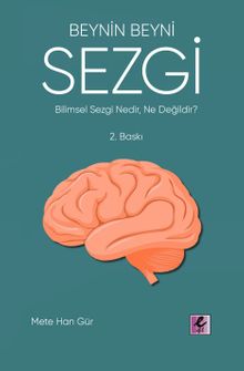 Beynin Beyni Sezgi