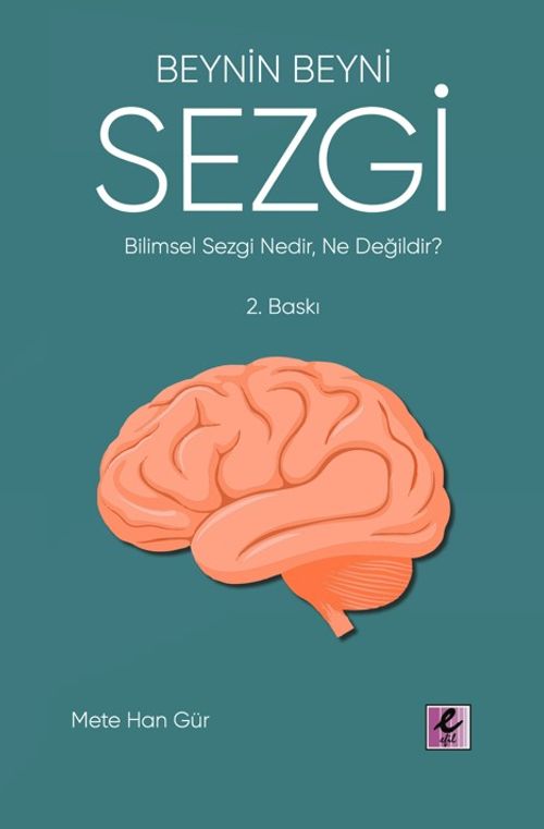 Beynin Beyni Sezgi