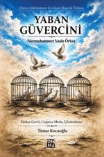 Yaban Güvercini