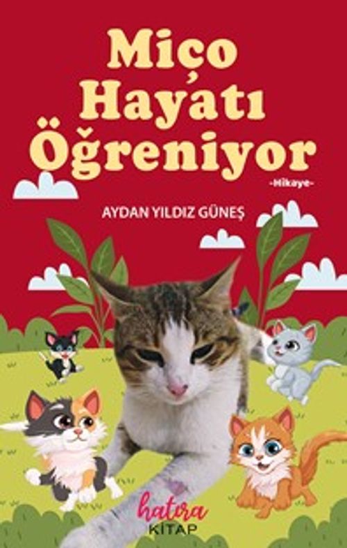 Miço Hayatı Öğreniyor