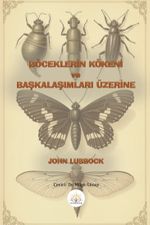 Böceklerin Kökeni ve Başkalaşımları Üzerine