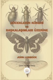 Böceklerin Kökeni ve Başkalaşımları Üzerine