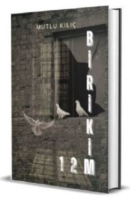 12 Birikim