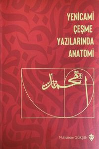 Yenicami Çeşme Yazılarında Anatomi