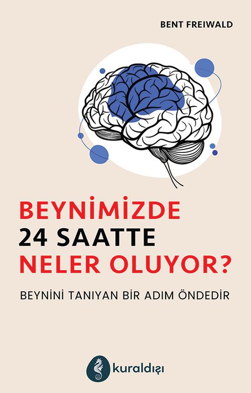 Beynimizde 24 Saatte Neler Oluyor ?