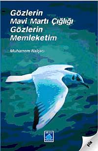 Gözlerin Mavi Martı Çığlığı Gözlerin Memleketim