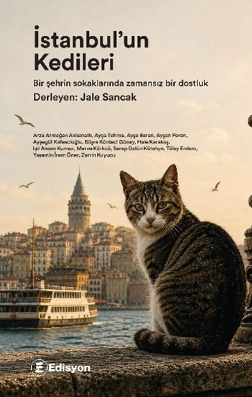 İstanbul'un Kedileri