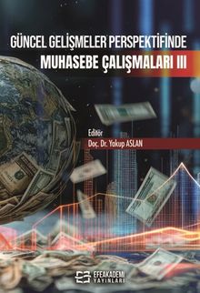 Güncel Gelişmeler Perspektifinde Muhasebe Çalışmaları III