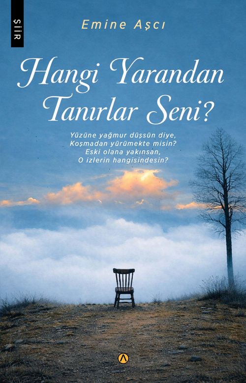Hangi Yarandan Tanırlar Seni?