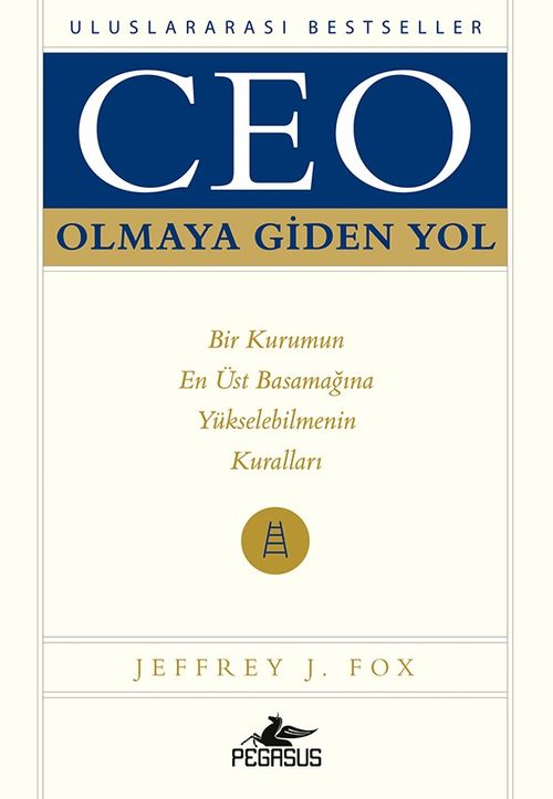 Ceo Olmaya Giden Yol