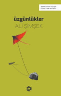 Üzgünlükler
