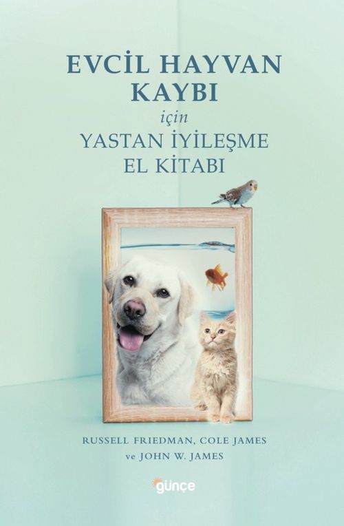 Evcil Hayvan Kaybı İçin Yastan İyileşme