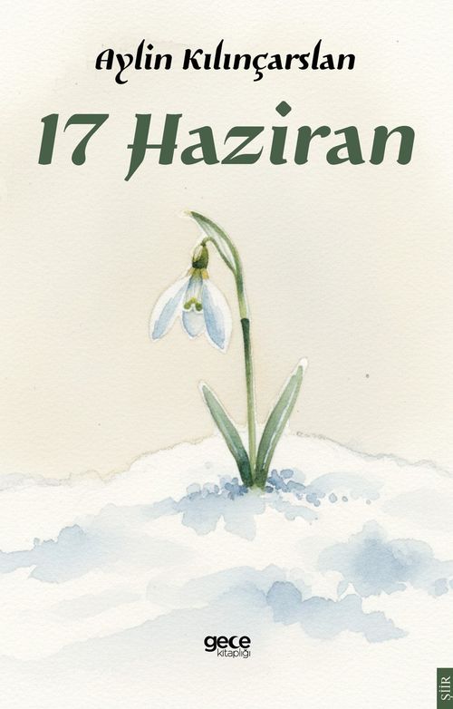 17 Haziran