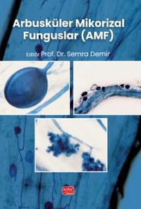 Arbusküler Mikorizal Funguslar (AMF)