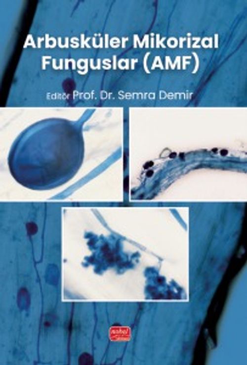 Arbusküler Mikorizal Funguslar (AMF)